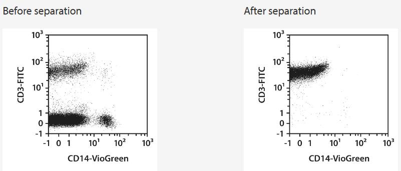 Separation of a buffy coat sample using the StraightFrom Buffy Coat CD3 MicroBead Kit and the MultiMACS Cell24 Separator Plus with the Single-Column Adapter and Whole Blood Columns. Cells were fluorescently stained with REAfinity Antibodies CD3-FITC, CD14-VioGreen, as well as with CD45-VioBlue and analyzed by flow cytometry using the MACSQuant Analyzer. Viable leukocytes were gated for analysis based on scatter signals, propidium iodide fluorescence, and CD45 expression.